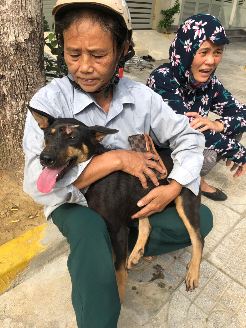 ACPA[-]hỗ[-]trợ[-]nhân[-]đạo[-]trong[-]quá[-]trình[-]xử[-]lý[-]đàn[-]chó[-]được[-]tạm[-]giữ[-]ở[-]Thanh[-]Hoá